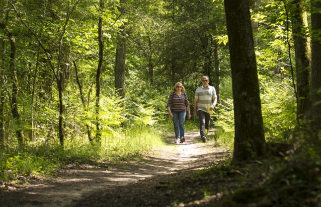 Agrandir l'image, fenêtre modale