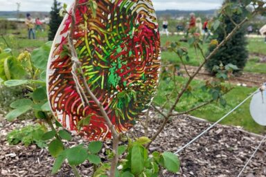 Agrandir l'image, fenêtre modale