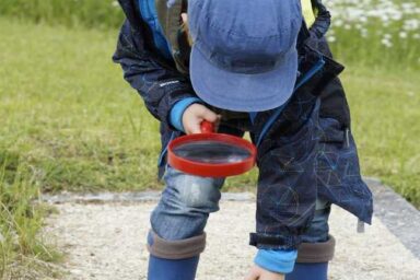 Agrandir l'image, fenêtre modale