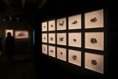 Agrandir l'image 4 sur 4, fenêtre modale