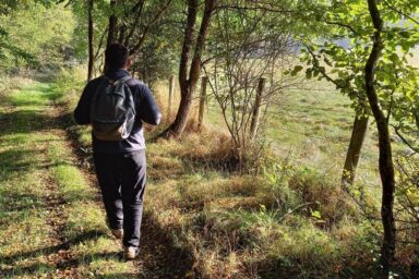 Agrandir l'image, fenêtre modale