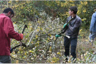 Agrandir l'image, fenêtre modale