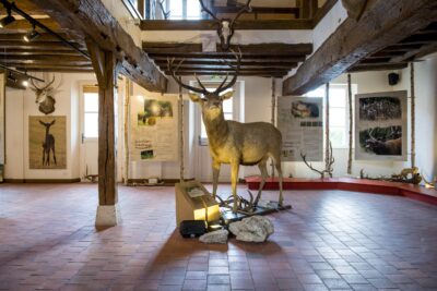 Agrandir l'image 5 sur 5, fenêtre modale