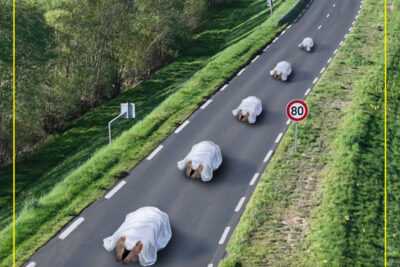 Agrandir l'image 1 sur 9, fenêtre modale